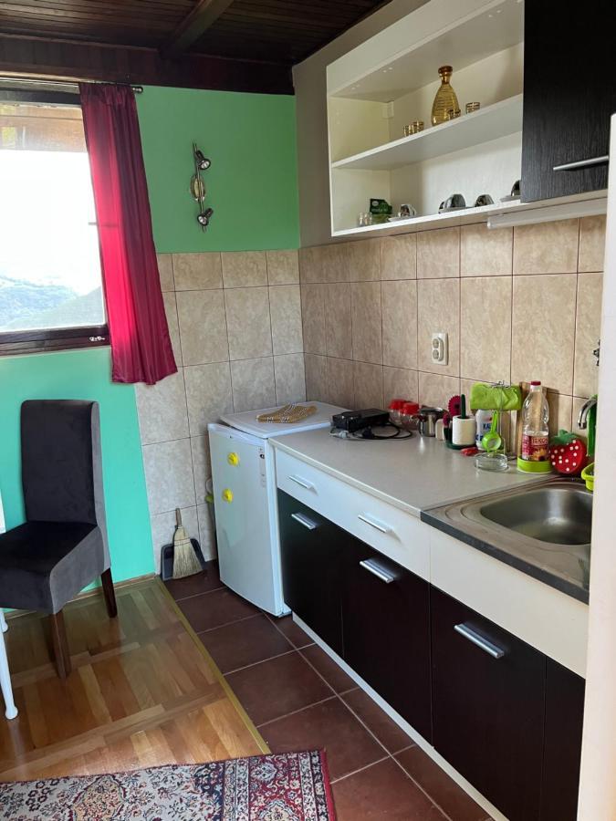 Apartman Jezero Vrutci อูชิเซ ภายนอก รูปภาพ